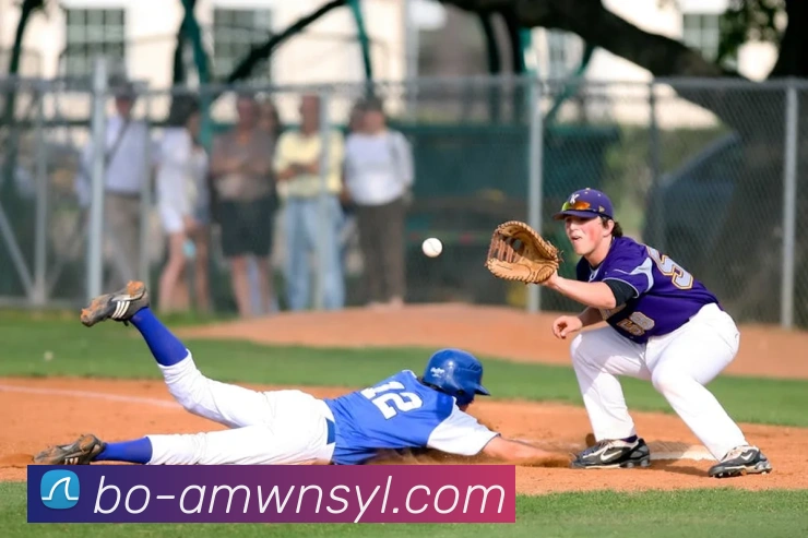 威尼斯人官网平台生态图